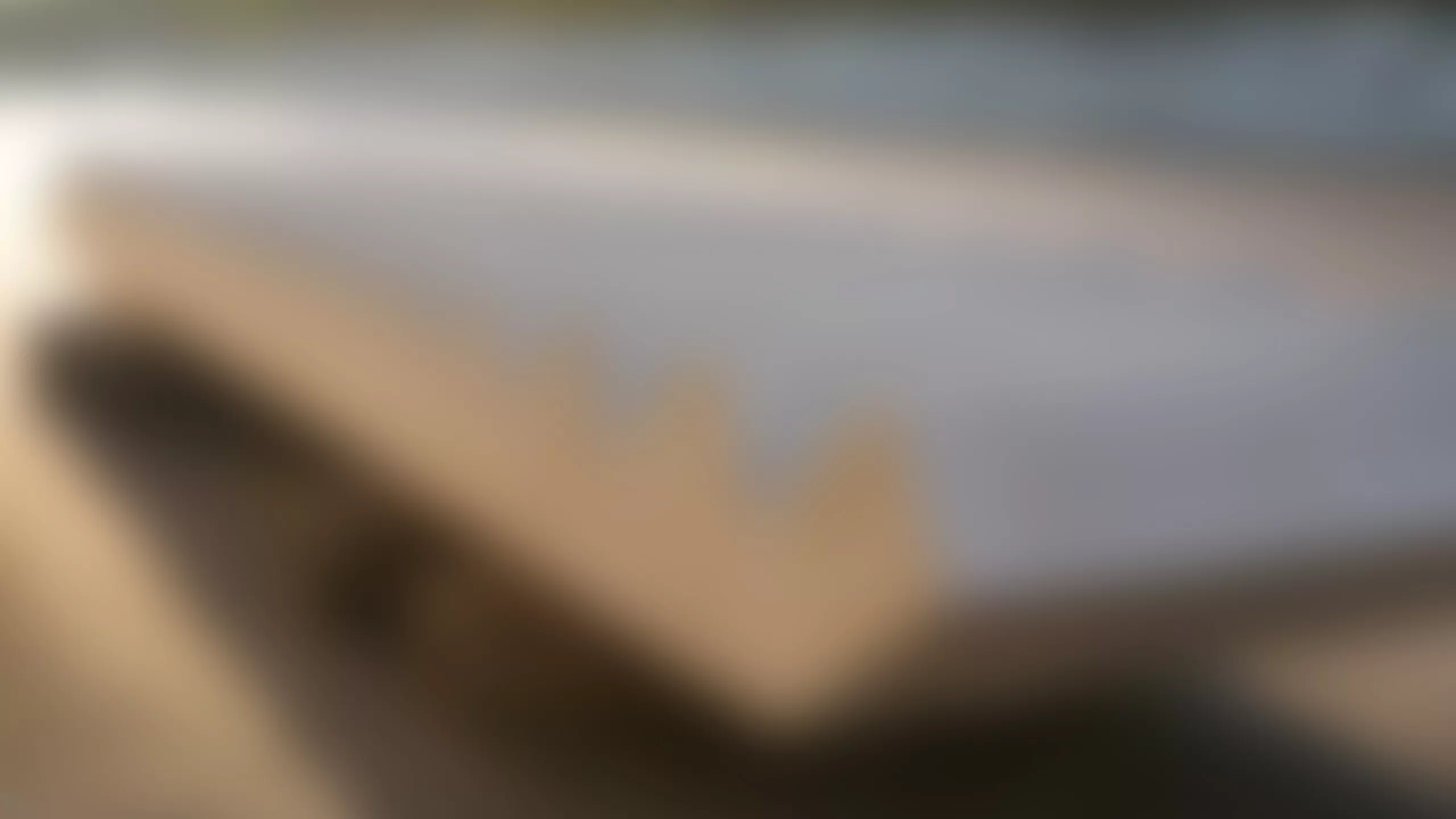 Sandwichwand | 3-schalige Betonwände mit Dämmung & Fassade | Menzel